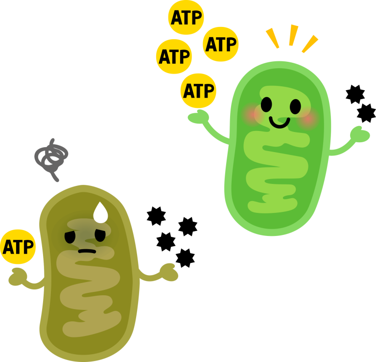 ATP Emoxy Baden AG